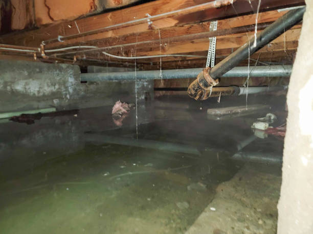 Best Flood damage cleanup  in Cordaville, MA