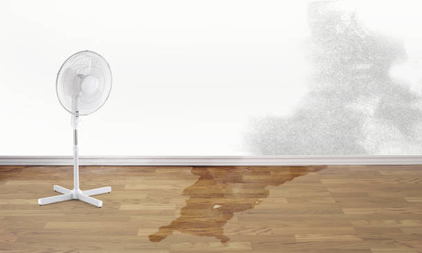 Best Mold removal after water damage  in Cordaville, MA