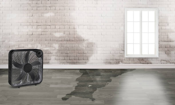 Best Water damage restoration near me  in Cordaville, MA