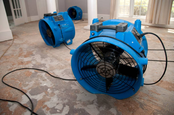 Best Water damage contractors near me  in Cordaville, MA