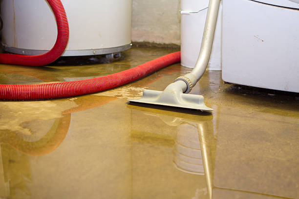  Cordaville, MA Water damage restoration Pros