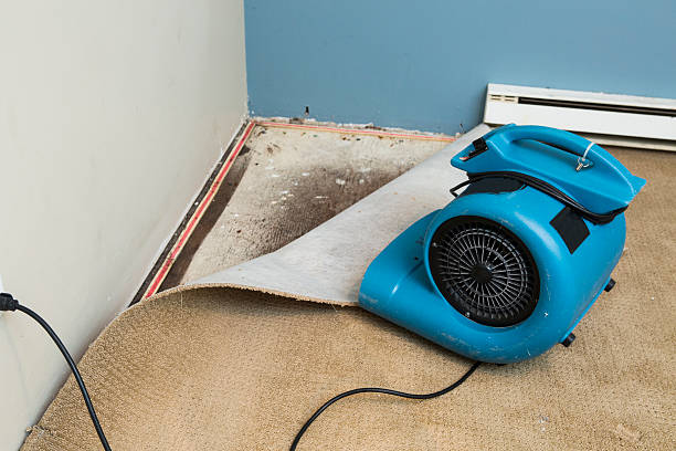 , MA Water damage restoration Company